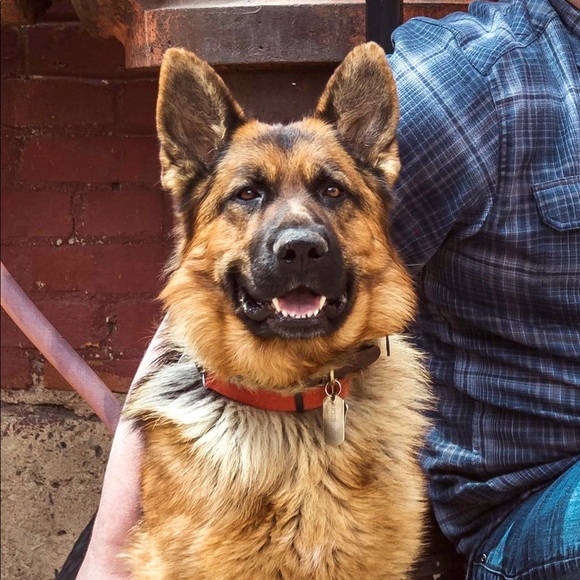 Meet your Posher, Amanda - Picture 1 of 1